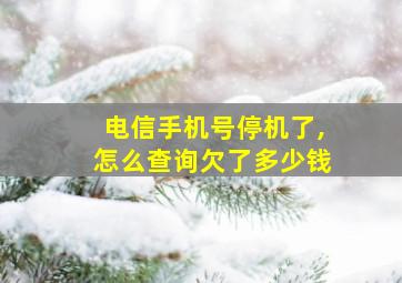 电信手机号停机了,怎么查询欠了多少钱