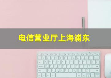 电信营业厅上海浦东