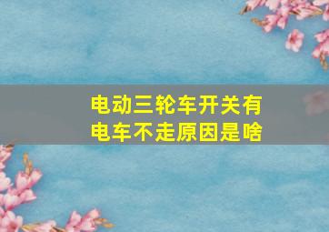 电动三轮车开关有电车不走原因是啥