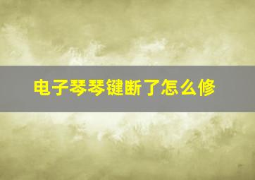 电子琴琴键断了怎么修