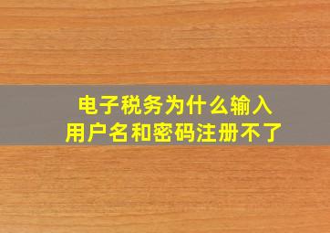 电子税务为什么输入用户名和密码注册不了