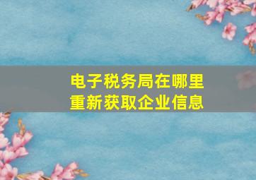 电子税务局在哪里重新获取企业信息