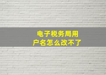 电子税务局用户名怎么改不了