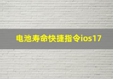 电池寿命快捷指令ios17