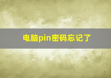 电脑pin密码忘记了