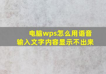 电脑wps怎么用语音输入文字内容显示不出来