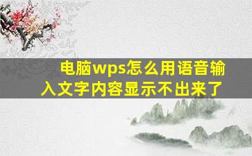 电脑wps怎么用语音输入文字内容显示不出来了