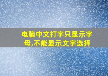 电脑中文打字只显示字母,不能显示文字选择