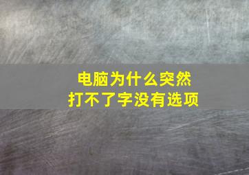 电脑为什么突然打不了字没有选项