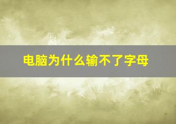 电脑为什么输不了字母