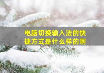 电脑切换输入法的快捷方式是什么样的啊