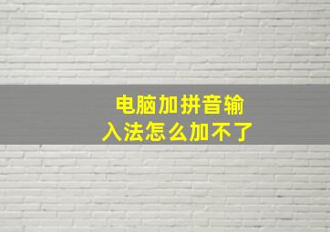 电脑加拼音输入法怎么加不了