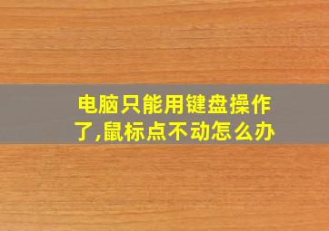 电脑只能用键盘操作了,鼠标点不动怎么办