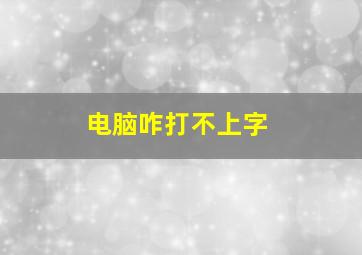 电脑咋打不上字