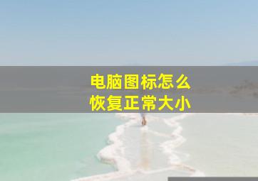 电脑图标怎么恢复正常大小