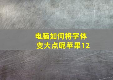 电脑如何将字体变大点呢苹果12