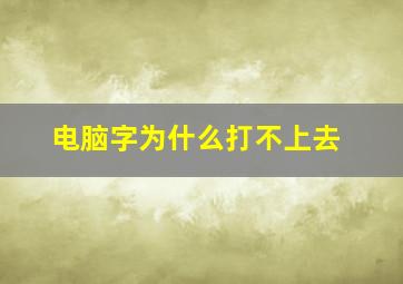 电脑字为什么打不上去