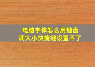 电脑字体怎么用键盘调大小快捷键设置不了