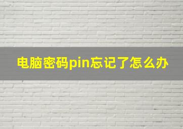 电脑密码pin忘记了怎么办