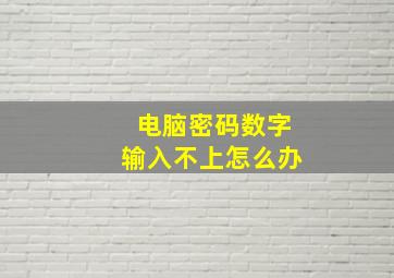 电脑密码数字输入不上怎么办