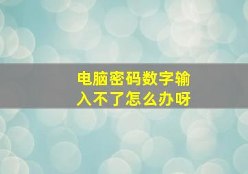 电脑密码数字输入不了怎么办呀