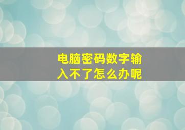 电脑密码数字输入不了怎么办呢