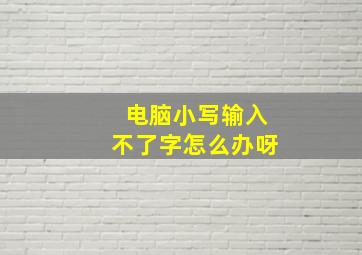 电脑小写输入不了字怎么办呀