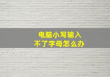 电脑小写输入不了字母怎么办