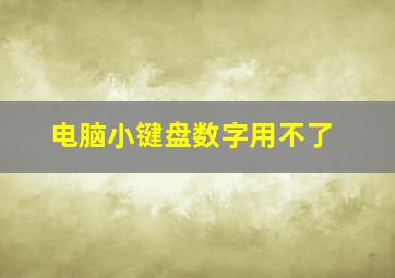 电脑小键盘数字用不了