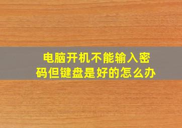 电脑开机不能输入密码但键盘是好的怎么办