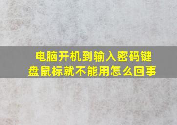 电脑开机到输入密码键盘鼠标就不能用怎么回事