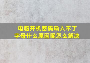 电脑开机密码输入不了字母什么原因呢怎么解决