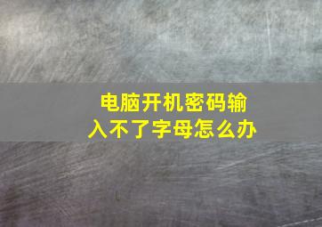 电脑开机密码输入不了字母怎么办