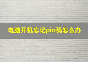 电脑开机忘记pin码怎么办