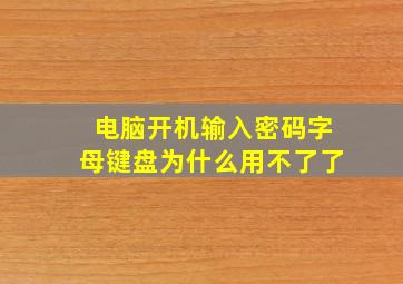 电脑开机输入密码字母键盘为什么用不了了