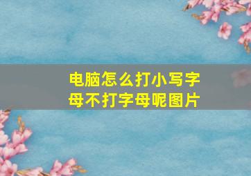 电脑怎么打小写字母不打字母呢图片