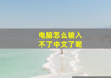 电脑怎么输入不了中文了呢