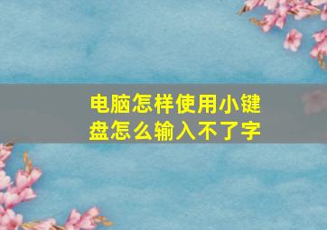 电脑怎样使用小键盘怎么输入不了字