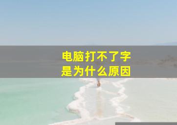 电脑打不了字是为什么原因