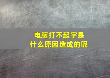 电脑打不起字是什么原因造成的呢