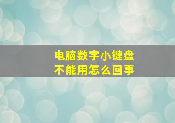 电脑数字小键盘不能用怎么回事