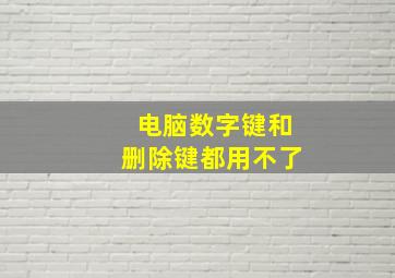 电脑数字键和删除键都用不了