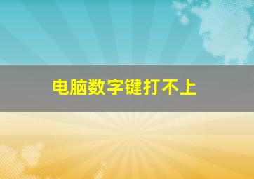 电脑数字键打不上