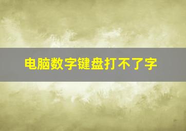 电脑数字键盘打不了字