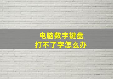 电脑数字键盘打不了字怎么办