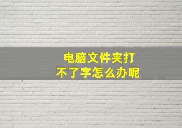 电脑文件夹打不了字怎么办呢