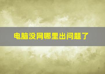 电脑没网哪里出问题了