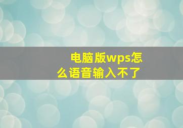 电脑版wps怎么语音输入不了