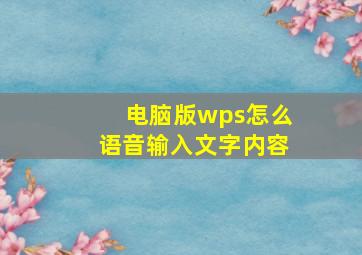 电脑版wps怎么语音输入文字内容