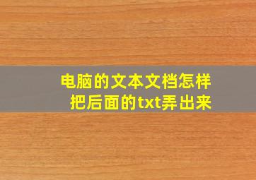 电脑的文本文档怎样把后面的txt弄出来